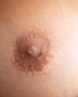 Abby Winters - 28-xl_r_beatriz028